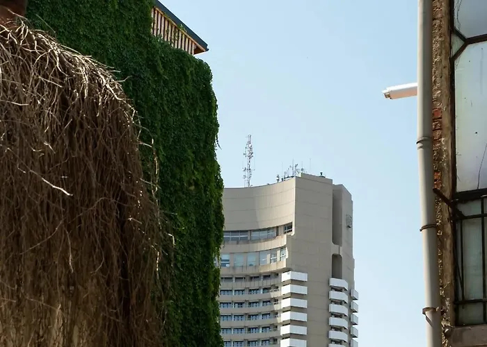 Sunny & Peaceful 3br With Balcony Near National Theater & Cismigiu Park * Bucureşti