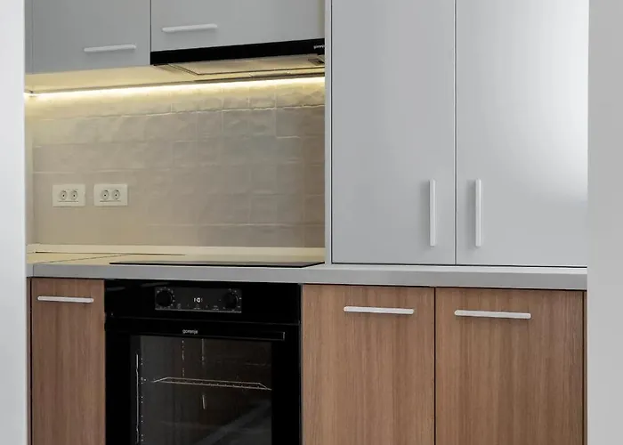 Apartament Sunny & Peaceful 3br With Balcony Near National Theater & Cismigiu Park